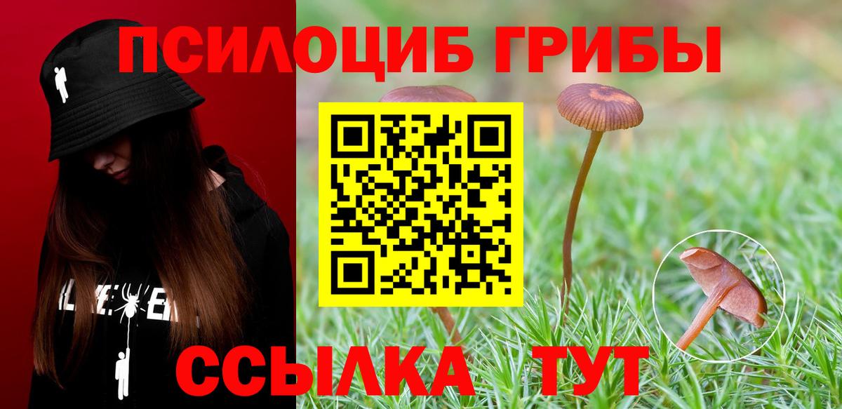 что такое наркотик  Вход с VPN  Тимашёвск  Псилоцибиновые грибы MAGIC MUSHROOMS 